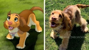 Illustration : 11 photos d'animaux de compagnie transformés en adorables personnages Disney