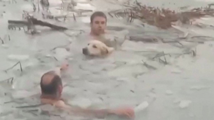 Illustration : 2 policiers héroïques plongent dans l'eau glacée d'un lac pour secourir un chien (vidéo)