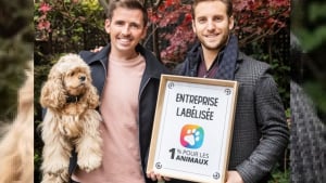 Illustration : L’agence YLG, première entreprise labellisée « 1% Pour les Animaux » pour son soutien aux projets de protection animale