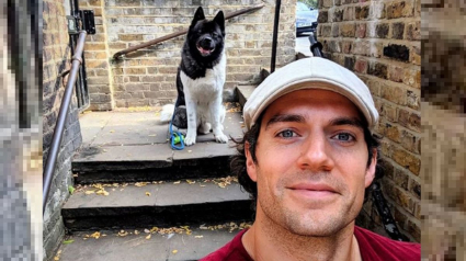 Illustration : L'acteur britannique Henry Cavill partage sa relation unique avec son Akita Américain