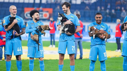 Illustration : Les joueurs d'une équipe de football apparaissent sur le terrain avec des chiens de refuge pour encourager leur adoption