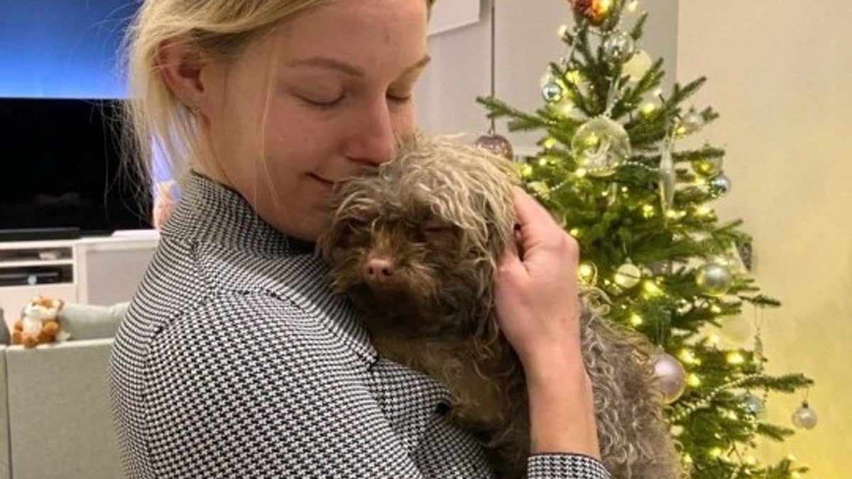 Illustration : "Une femme achète un mignon petit chien. 2 semaines plus tard, elle apprend qu'il a été volé !"