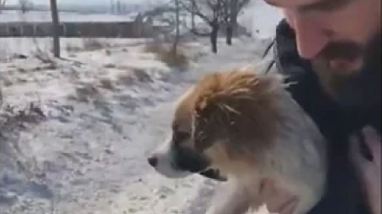 Illustration : Un homme au grand cœur change le destin d'un chiot errant sur une route enneigée (vidéo)