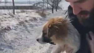 Illustration : Un homme au grand cœur change le destin d'un chiot errant sur une route enneigée (vidéo)