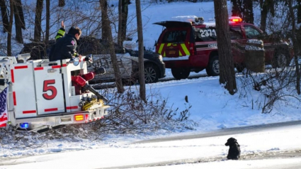 Illustration : Des pompiers salués comme des héros après avoir secouru un chien coincé dans un étang gelé 