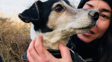 Illustration : Profondément enfoui dans un terrier, un Jack Russell revoit la lumière de jour grâce à l'intervention des pompiers