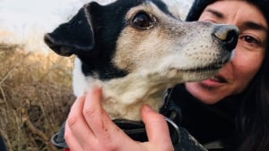 Illustration : Profondément enfoui dans un terrier, un Jack Russell revoit la lumière de jour grâce à l'intervention des pompiers