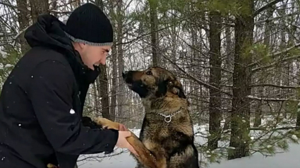 Illustration : Un homme égaré dans le froid pendant plusieurs heures doit son salut à un chien policier