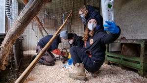 Illustration : La Tanière participe à une opération de sauvetage d'envergure, 46 animaux sauvages sont saisis chez un particulier