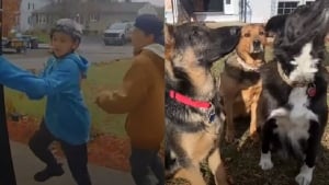 Illustration : 3 chiens piégés dans une maison en feu courageusement sauvés par 2 garçons qui passaient à vélo