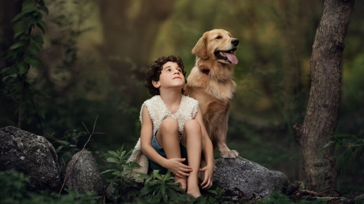 Illustration : "17 photos illustrant les douces aventures d'un garçon et de son Golden Retriever"