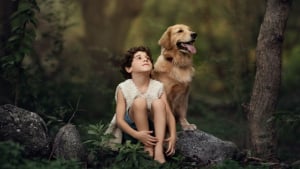 Illustration : 17 photos illustrant les douces aventures d'un garçon et de son Golden Retriever