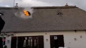 Illustration : L'action exemplaire de passants qui sauvent un chien pris au piège dans une maison en flammes