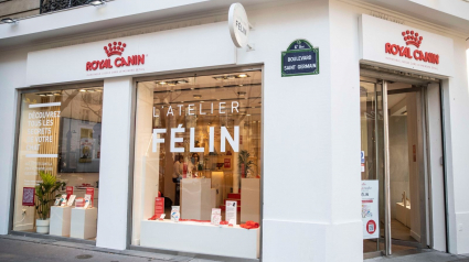 Illustration : Royal Canin a ouvert les portes de l'Atelier Félin, un espace dédié au bien-être et à l'équilibre de votre chat