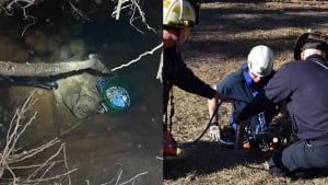 Illustration : 2 équipes de pompiers se mobilisent pour porter secours à une chienne coincée 5 mètres sous terre