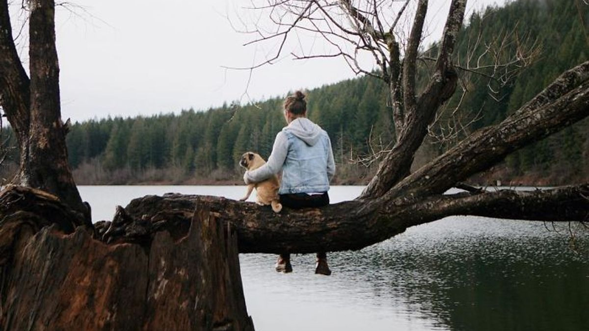 Illustration : "20 photos d'un Carlin épris d'aventures avec son humain préféré"