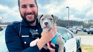 Illustration : Un chiot blessé fait ses adieux à la rue et trouve le bonheur dans les bras de son sauveur