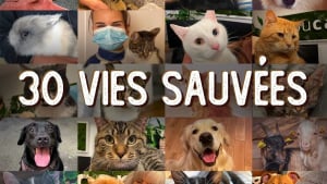 Illustration : YouCare annonce son 30e animal sauvé grâce au programme Nouvelle Vie et le label 1% Pour les Animaux