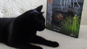 Illustration : « Chats de campagne », un livre pour les amoureux des chats et de leur esprit libre