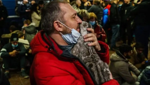 Illustration : Guerre en Ukraine : à Kiev, une femme de 74 ans brave le danger et le couvre-feu pour aller nourrir le chat de son fils