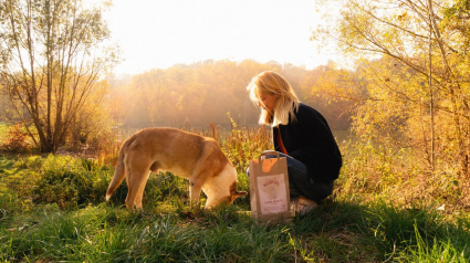 Illustration : Nouveau venu sur le marché des croquettes pour chien, Kookapi se démarque par son engagement au profit de la vie animale et de la planète