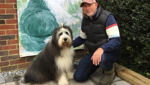 Illustration : Un homme pris dans les affres du désespoir va de l'avant avec le soutien d'un Bearded Collie