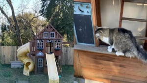 Illustration : Un couple transforme la cabane de jeux de leurs enfants et en fait un enclos génial pour leur chat