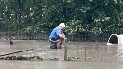 Illustration : L'altruisme d'un directeur de refuge qui met en sécurité un chien attaché dans un jardin lors d'une inondation