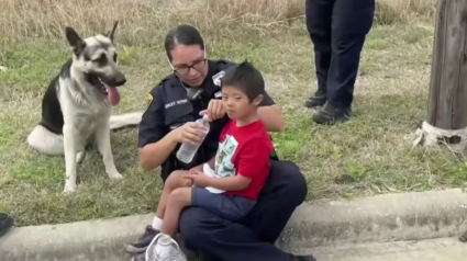 Illustration : Un petit garçon de 5 ans s'éloigne du domicile familial. La police le retrouve avec son protecteur, un Berger Allemand !