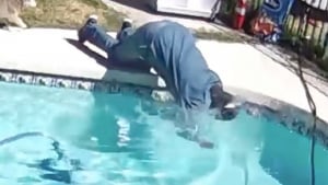 Illustration : La vidéo cocasse d'un homme essayant de sortir un chiot d'une piscine, mais tombant lui-même la tête la première !