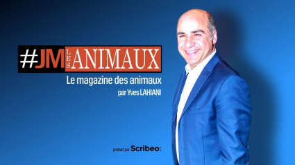 Illustration : Une nouvelle émission digitale consacrée aux animaux est née : #JMLesAnimaux est à découvrir sur le site de CNews