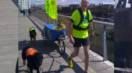 Illustration : Un homme handicapé de 56 ans se lance dans un défi : courir 600 km avec ses 3 chiens en faveur d'une association canine