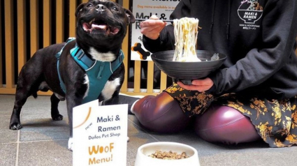 Illustration : Manger au restaurant avec son chien ? C'est désormais possible grâce à un restaurateur japonais proposant un menu pour chiens !