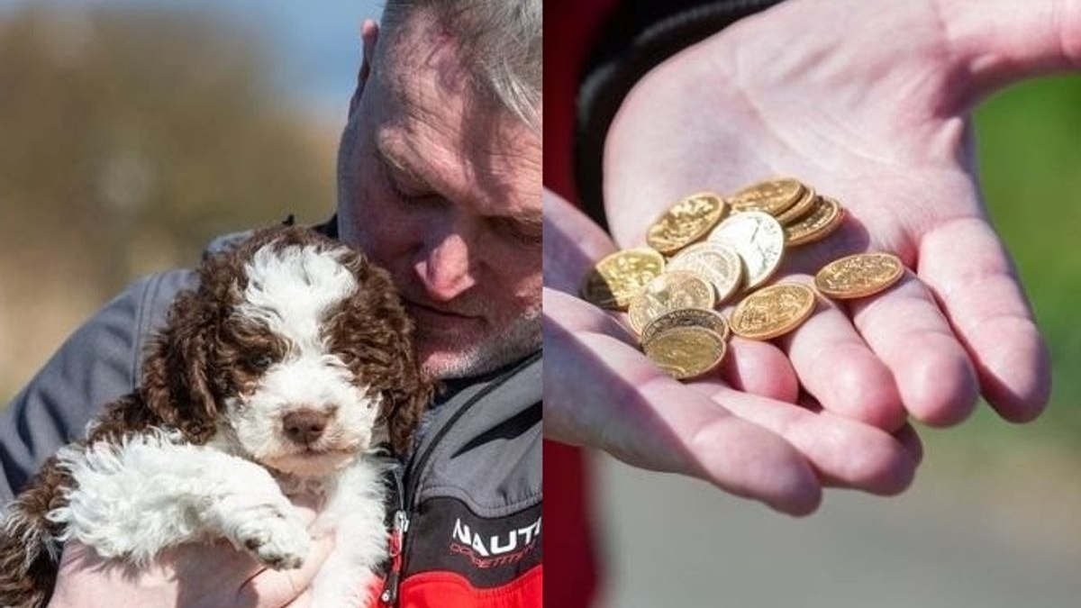 Illustration : "Ils adoptent un chiot qui déterre un trésor lors de sa première promenade "