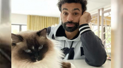 Illustration : La star de football Mohamed Salah, amoureux des chats, livre un message poignant sur les droits des animaux (vidéo)