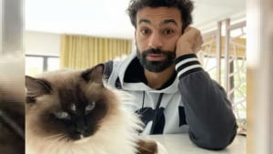 Illustration : La star de football Mohamed Salah, amoureux des chats, livre un message poignant sur les droits des animaux (vidéo)