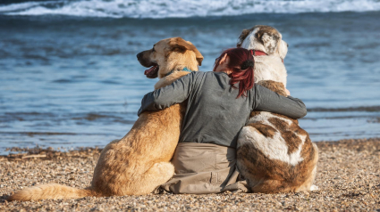 Illustration : Partir en vacances avec son animal le cœur léger ? C'est possible grâce au kit de Mars Petcare !