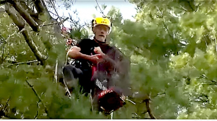 Illustration : Après plusieurs tentatives de sauvetage, un chat perché à 24 mètres de haut doit son salut à un grimpeur d'arbres professionnel