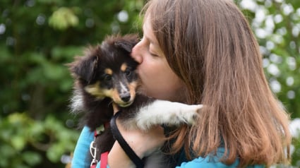 Illustration : Les chiots seraient capables d'assimiler nos baisers à des marques d'affection