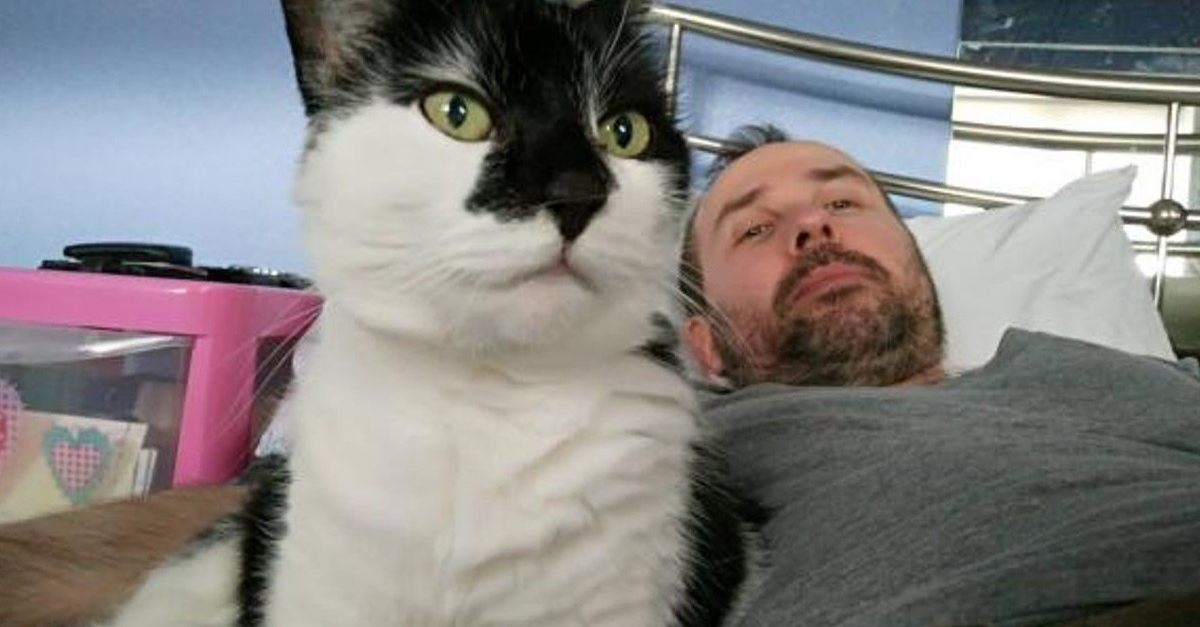 En Memoire De Son Chat Disparu Un Homme Participe A Un Trek Pour Reunir Des Fonds Au Profit Du Refuge L Ayant Sauve