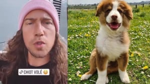 Illustration : Une femme meurtrie par la disparition de son chien reçoit le soutien du chanteur Julien Doré