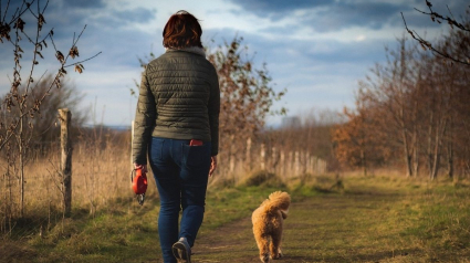 Illustration : Les propriétaires de chiens sont plus heureux dans la vie que les personnes sans compagnon canin : cette étude le confirme !