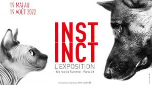 Illustration : « Instinct » : l'expo photo pour rendre hommage aux chiens et aux chats présentée par Royal Canin à découvrir du 19 mai au 19 août 