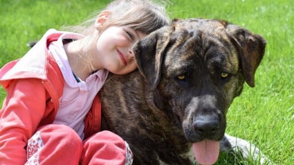 Illustration : Les enfants ayant grandi avec un chien seraient mieux protégés contre la maladie de Crohn, d’après une étude