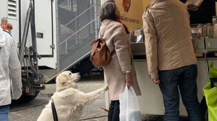 Illustration : 20 photos résumant la magie d'une rencontre impromptue entre une personne et un chien