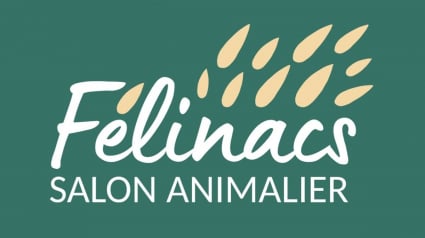 Illustration : Félinacs, le salon consacré aux animaux de compagnie et à leur bien-être, se tiendra le 5 juin en région bordelaise