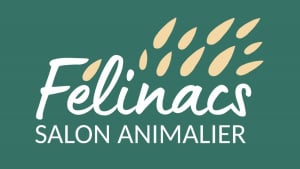 Illustration : Félinacs, le salon consacré aux animaux de compagnie et à leur bien-être, se tiendra le 5 juin en région bordelaise