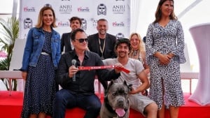 Illustration : Palm Dog by Dogamì : les chiens stars du cinéma sont aussi récompensés à Cannes