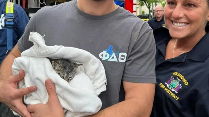 Illustration : Une chatte prise au piège dans un conduit d'évacuation d'eaux pluviales déclenche l'intervention des pompiers, qui ne font pas que la sauver