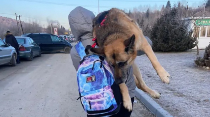 Illustration : Une famille fuyant l’Ukraine transporte sur plus de 17 kilomètres leur chienne âgée sur le dos pour ne pas l’abandonner au pays